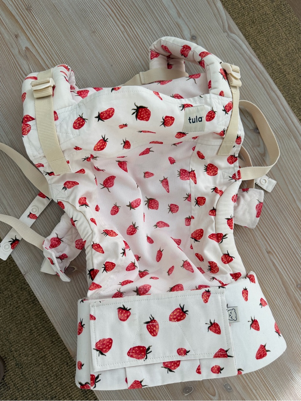Tula Strawberry Print